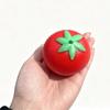 Fake Food Squishy Fluid Tomato Stress Relief Squeeze Toys Slow Rising Simulation Fruit Sensory Fidget Toy Anxiety Relief Gift