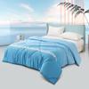 DeRUCCI PUSU Antibacterial All-Season Polyester Quilt