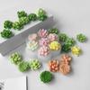 Decorative Creations Mould Silicone Succulent Plant Mold for DIY Crystal Epoxy Resin Crafts And Aromatherapy Candles