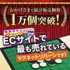 Spielzeug Gott Magnet Reversi 25cm x 25cm x 2cm Faltbares Brettspiel mit japanischer Verpackung und Anleitung