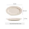 Drui-en 12-inch Oval Ceramic Fish & Dinner Plate