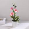 Butterfly Orchid Bonsai Potted Fake Plants for Home Garden Room Decoration Office Table Artificial Silk Flower Ornaments