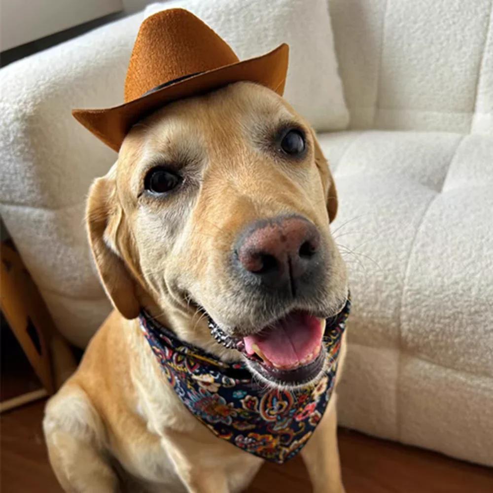 Pet Hat Cat Cowboy Hat Funny Retro Adjustable Cowboy Hat for Dogs Cats Pet Photo Prop Halloween Decor Cat Accessories