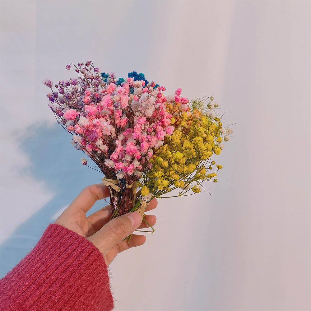 Decorative Photo Backdrop Small Pressed Babysbreath Bouquet Dry Flower Dried Flowers Gypsophila