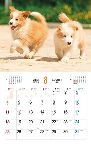 Cățeluș pufos (Calendar Impress 2024)