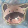 Playve Flppu Hamin Cushion (sealed)