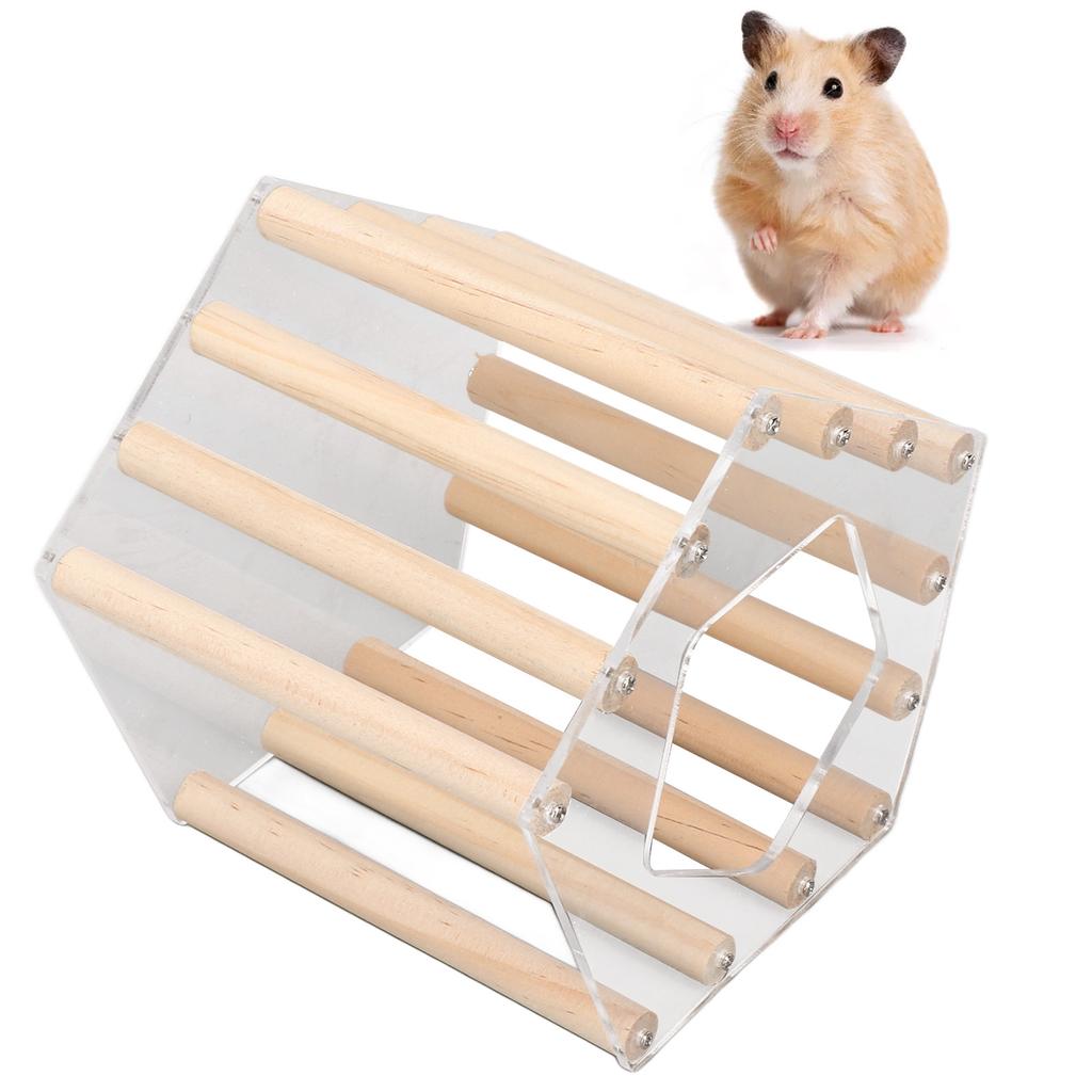 Minimalist Pentagonal Hamster Wooden House Ventilated Transparent Hamster Cabin for Hamster Golden Br