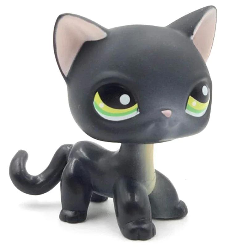 Rare Littlest Pet Shop Lps Toy Toy Mini Stands Short Hair Kitten Old Figures Collection Al Bobble Head Toy