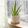 6Pcs Plant Pot Risers Pad Flower Pot Support Feet Bonsai Holders Tortoise/Frog/Dog Style Decorative Planter Elevator Pot Base