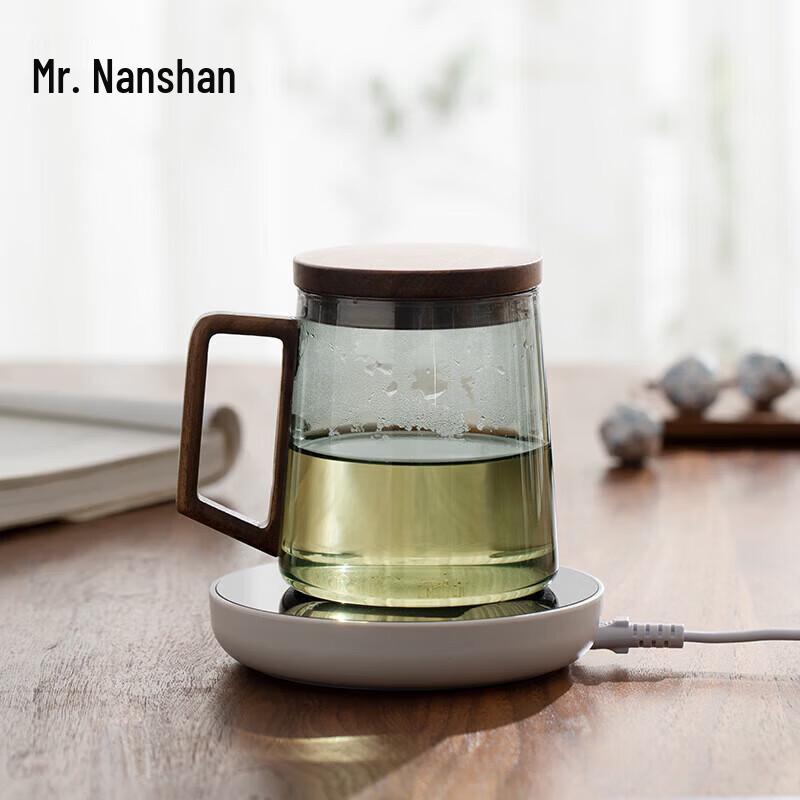 Heat-Resistant Glass Tea Infuser Bottle