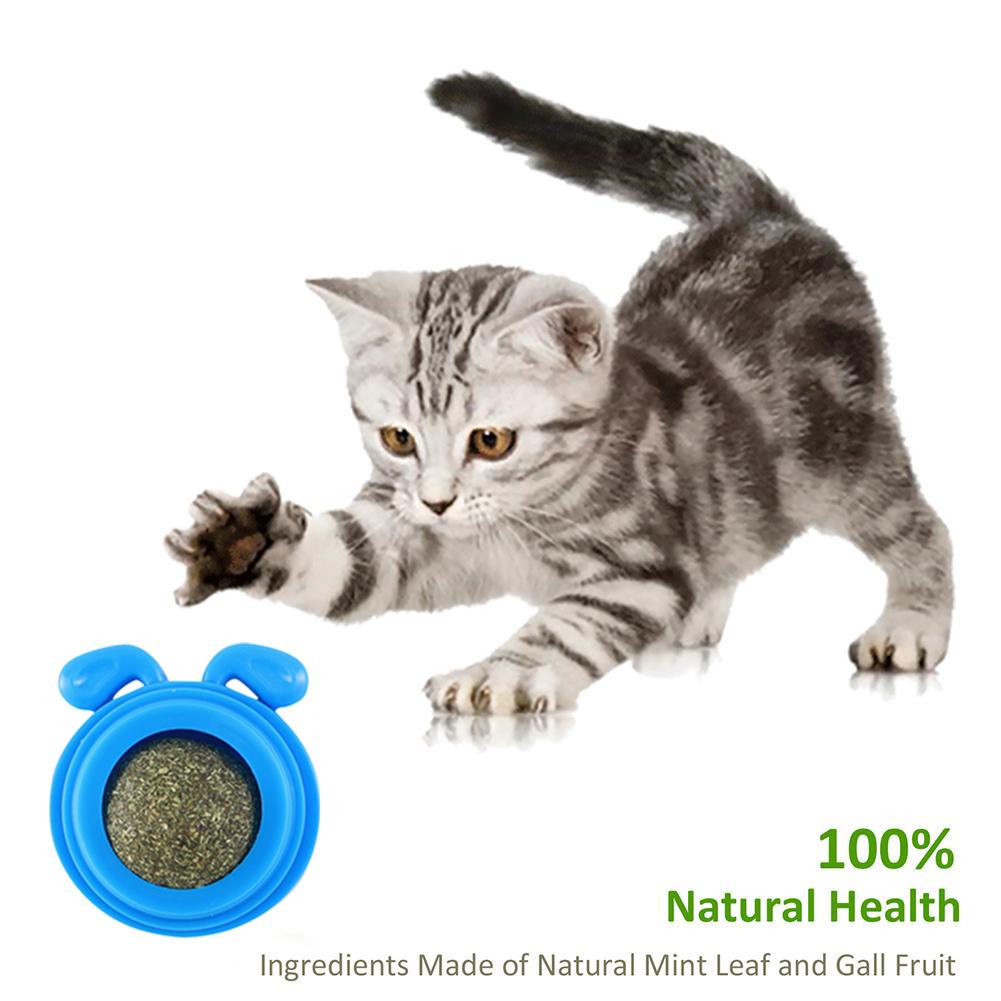 Plastic Catnip Energy Ball Replaceable Dog Head Shape Catnip Wall Balls for Cats Teeth Cleaning Rotatable Pet Treats Supplies