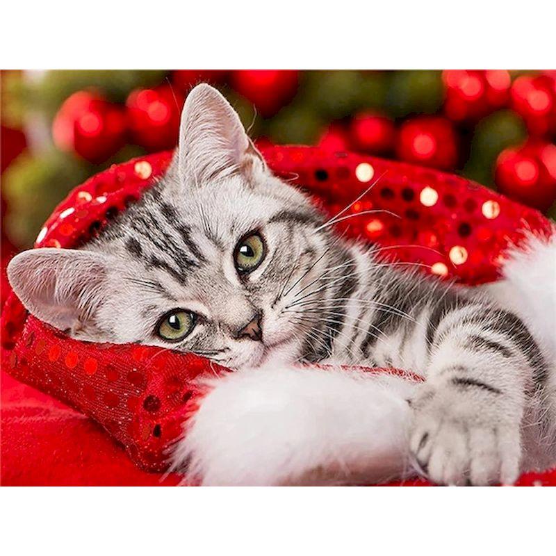 Diamond Painting Full Round Drill Diamond Embroidery Cat Animal Cross Stitch Mosaic Diy Crafts Home Decor Gift Kit