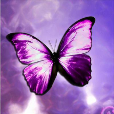 Full 5D Diy Diamond Painting An Animal Butterfly Embroidery Cross Stitch Home Decor Handmade Gift