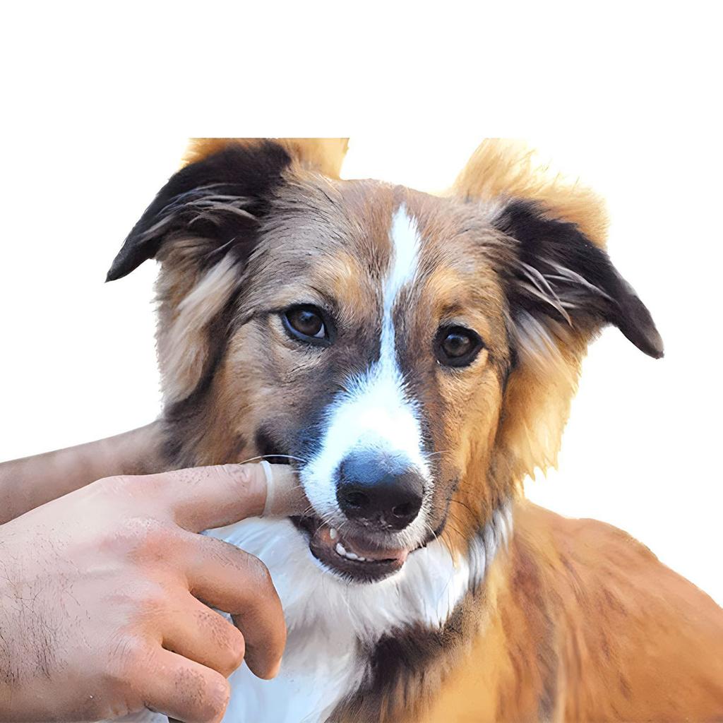 Periuță de dinți de deget pentru animale de companie Produse de curățare pentru pisici și câini Periuțe de dinți pentru curățare orală Peri de silicon