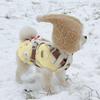 Comfortable Pet Head Cover Warm Pet Transformation Hat Cute Winter Pet Hat  Party