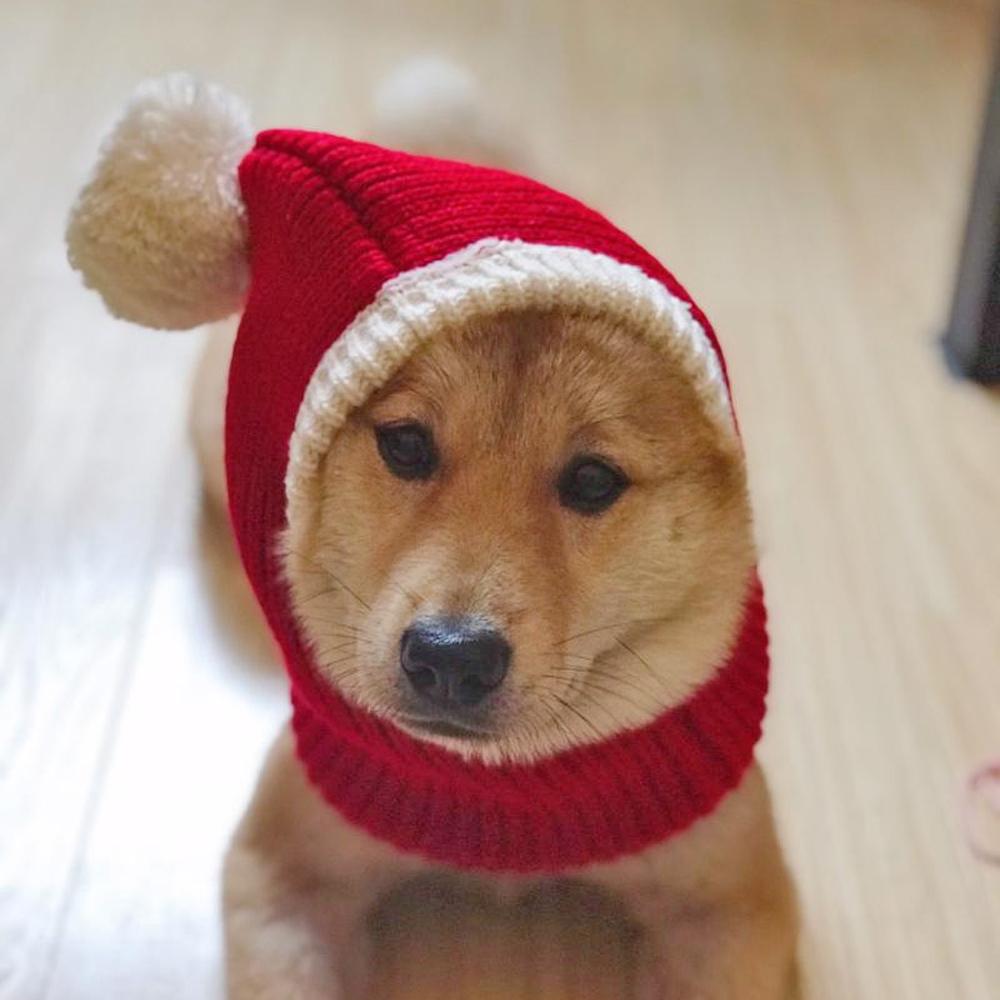 1PC Cute Christmas Dog Hat Noise Protection Knit Dog Hat Warm Winter Cap Soft Stretchy Knit Hat for Pet Dogs Cats Christmas Gift