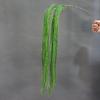 Asparagus Fern & Willow Buds Greenery for Wedding Decor & Landscaping