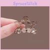 Simple Star Shape Hair Clips For Women With Ps Material Natural Style Spring 2025