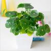 Artificial Plants Lotus Leaf Potting Material Festival Decor Household Products Garden Pool Aquatic Green Plants Bonsai Diy Gift