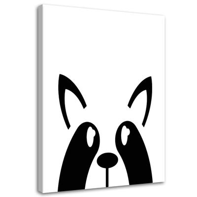 Canvas Print Raccoon Animal
