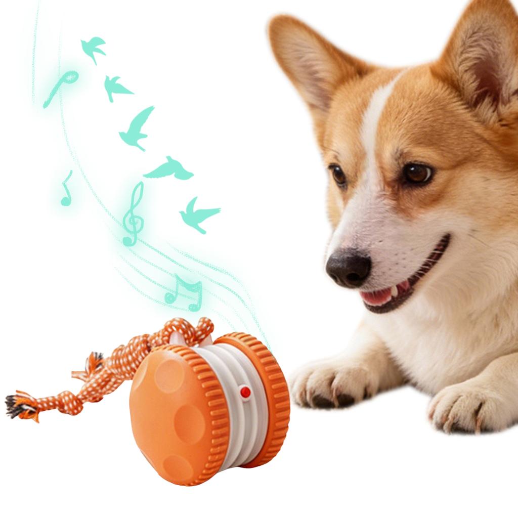Elektrisches Automatisches Bewegliches Rollendes Hunde Spielzeug Zufälliger Weg Automatischer Elektrischer Rollender Ball für gelangweilte Haustiere Hält Sie Beschäftigt