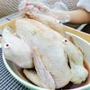 2/5/10/20pcs Turkey Timer POPUP Thermometer Poultry Roasted Chicken Thermometer Disposable For Cooking Chicken Beef Meat