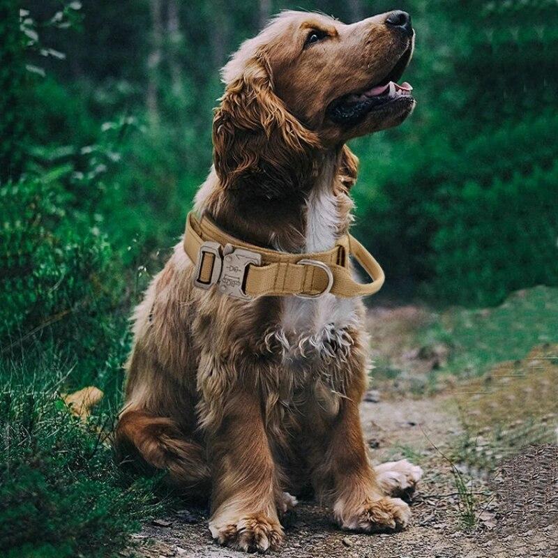 Military Tactical Dog Collar Zinc Alloy Buckle Reinforced Hook Loop Duarable Handle for Training German Shepard K9 Large Dog
