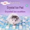 Summer Cooling Ice Mat for Hamsters, Rabbits & Small Pets