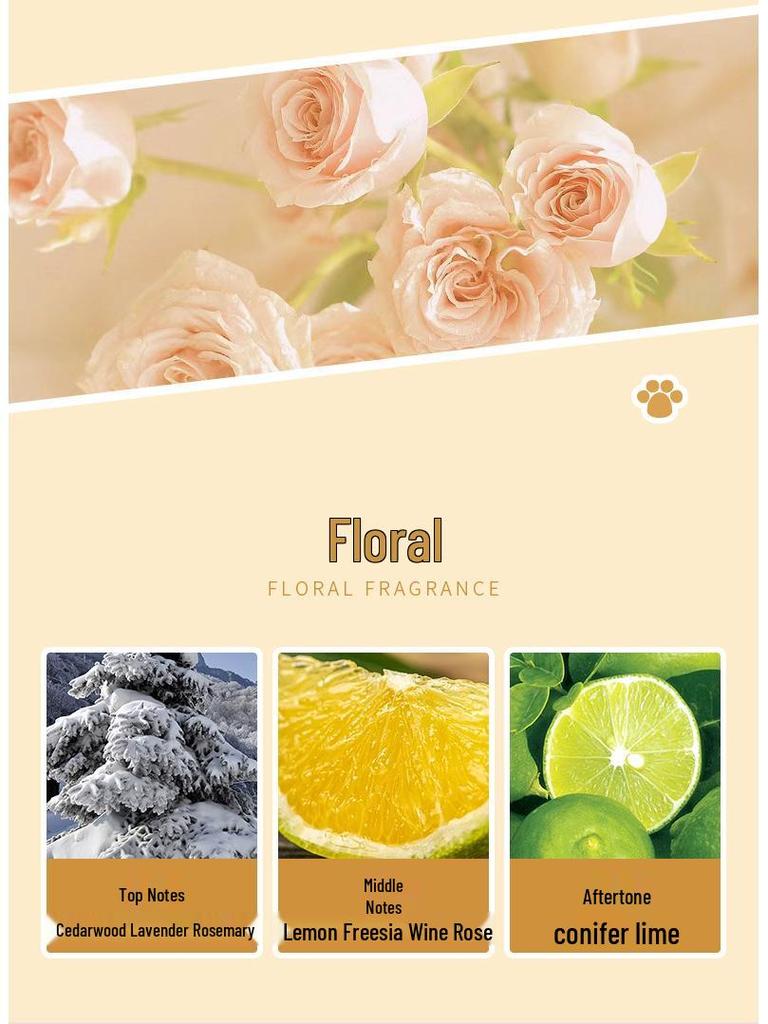 Trendy Sweetheart Bear: Floral & Fruity Lavender Perfume with Long-lasting Scent