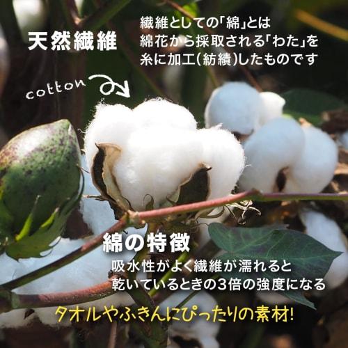 [.co.jp Exclusive] Sanbelm Kitchen Cloths, Counter Cloths, Dish Cloths, and Table Cloths, Cotton Gauze Dish Cloths, Standard/Large Set, White, 25x35cm