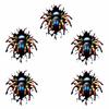 5Pcs Self Adhesive Spider Stickers Irregular Shape Vehicle Decals  Halloween Decoration