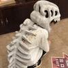 Dinosaurs Costume Headgear Dinosaur Accessorie Dinosaur Skeleton Mask Funny Halloween Decoration Cosplay Headwear