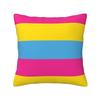 Pansexual Pride Flag Square Pillowcase Pillow Cover Cushion Zip Decorative Comfort Throw Pillow for Home Car