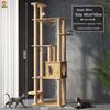 Jingzhou Multi-Level Cat Tree & Activity Center