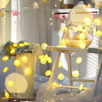 Yousheng Decorative Fairy Lights Soft Glow Non-Glaring Multifunctional Battery Operated Orange Slices String Lights LED Hanging Lamps