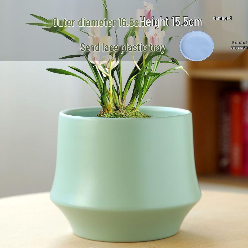 Nordic Style White Ceramic Succulent Pot with Four Compartments