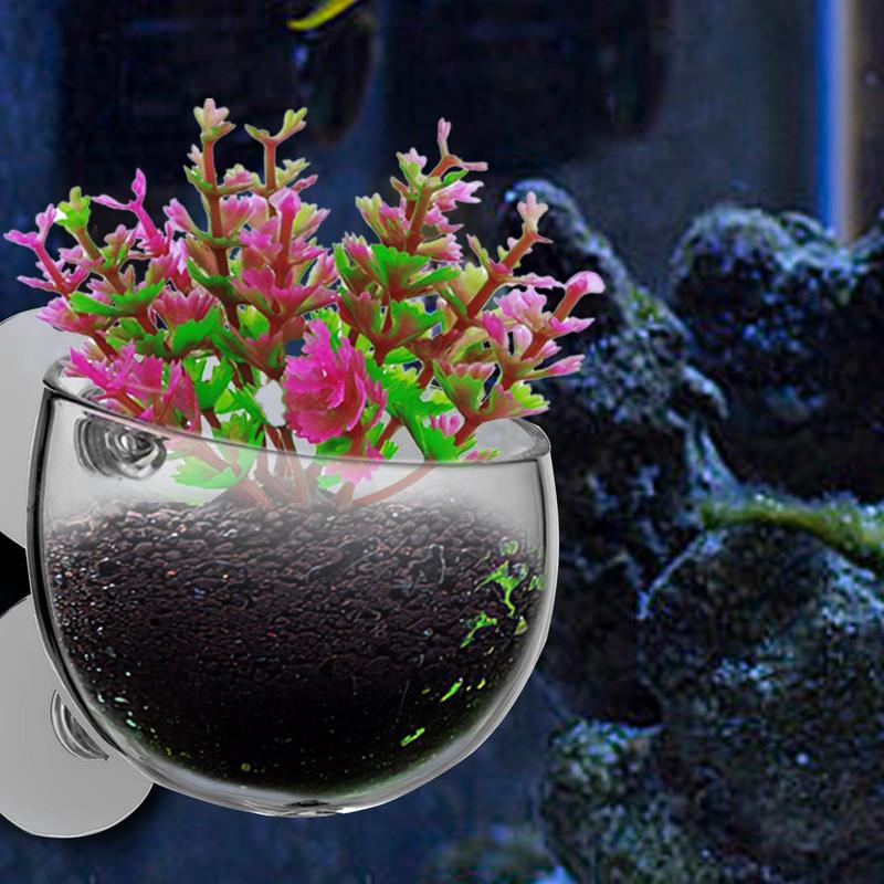 Hydroponic Fish Tank Planter Suction Cup Plant Holder Transparent Removable Fish Tank Landscaping Easy Grow For Vibrant Live