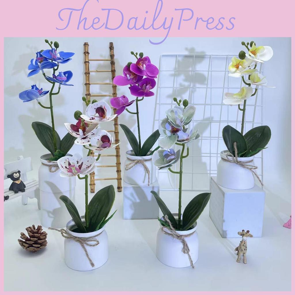 Phalaenopsis Kunstblumentopf für Außengartendekoration und Foto-Requisiten