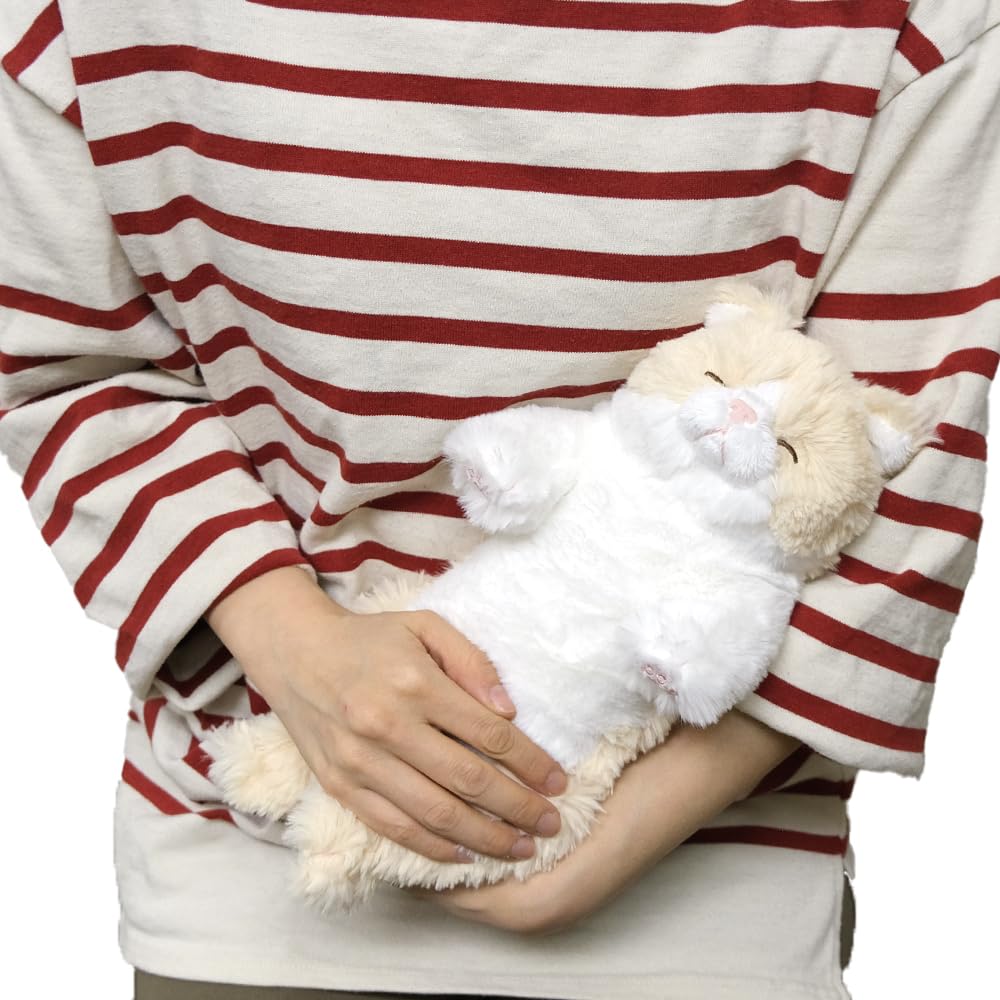 SunLemon Sleeping Lap S 15 x 18 x Plush Cute Cat, CR, 34cm, Animal, Cat, Cream, P-1383