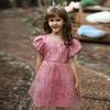 Girls' Formal Princess Dress with Train – Wedding, Runway, Piano Performance, Puffy Skirt