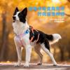 Adjustable Dog Harness With Anti-Escape Design Gradient Color Chest Vest Leash Small Medium Large Dogs