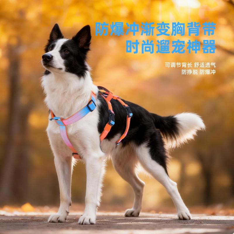 Adjustable Dog Harness With Anti-Escape Design Gradient Color Chest Vest Leash Small Medium Large Dogs