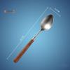 Zhishi Matte Wooden Handle Cutlery