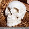 Piccolo Teschio Ornamenti per Halloween per Casa Infestata o Decorazione Bar