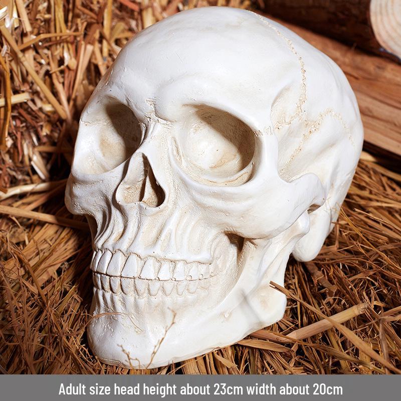 Piccolo Teschio Ornamenti per Halloween per Casa Infestata o Decorazione Bar