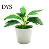 Garden Artificial Potted Plant Realistic Plastic Eye-Catching Decoration Imitative Bonsai Plants for Home