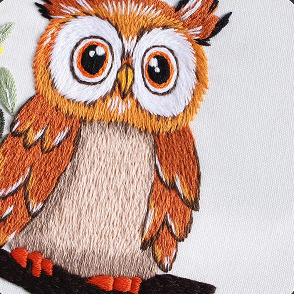 Stickset Eulenmuster Stickerei für Anfänger Stickerei DIY Kit mit kompletten Werkzeugen Materialien Anleitung für Anfänger