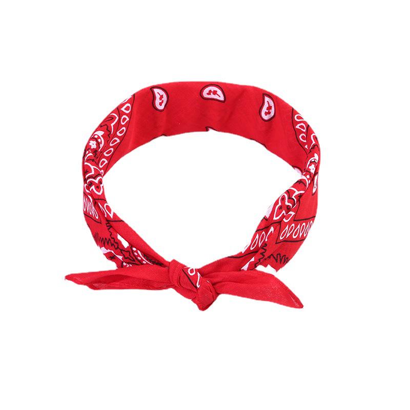 Paisley Cycling Bandana & Hip Hop Headband for Outdoor Sports & Street Dance