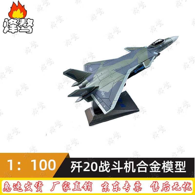 J-20 Fighter Jet Alloy Model 1:100 Scale