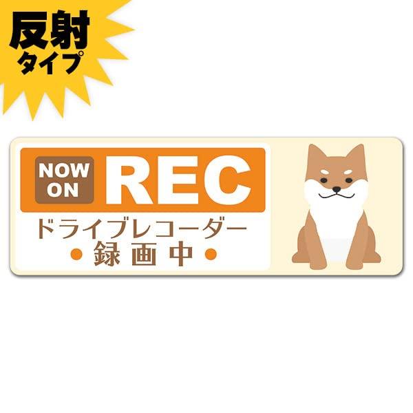 Sitting Shiba Inu Yellow [NOW ON REC] Drive Recorder Recording